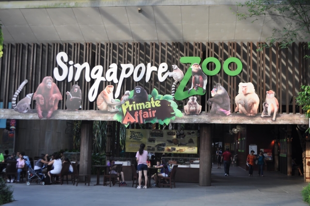 Сингапурский зоопарк и Ночное Сафари (Singapore Zoo and Night Safari)