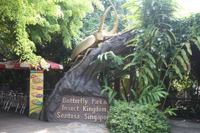 Парк Бабочек (Butterfly Park)