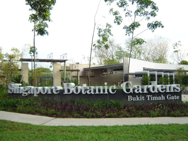 Singapore Botanic Gardens (Ботанический сад Сингапура) The National Orchid Garden (Национальный Сад орхидей)